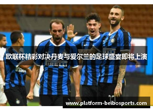 欧联杯精彩对决丹麦与爱尔兰的足球盛宴即将上演