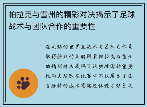 帕拉克与雪州的精彩对决揭示了足球战术与团队合作的重要性
